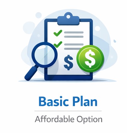 Basic Plan Icon